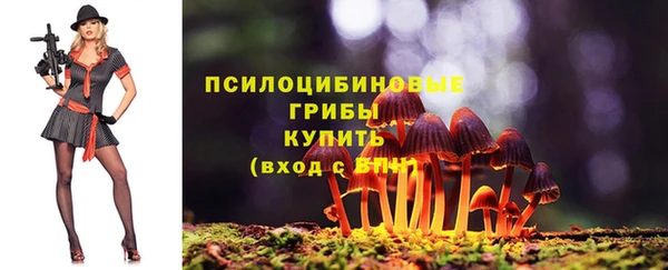 герыч Ветлуга