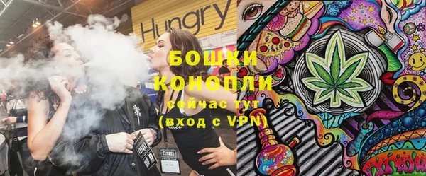 дмт Абаза