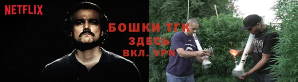спайс Пересвет