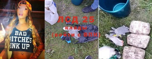 спайс Пересвет