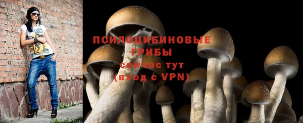 дмт Абаза