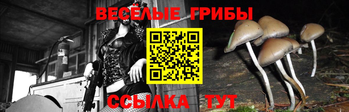 Екатеринбург  Галлюциногенные грибы прущие грибы  Псилоцибиновые грибы MAGIC MUSHROOMS  Вход с VPN 